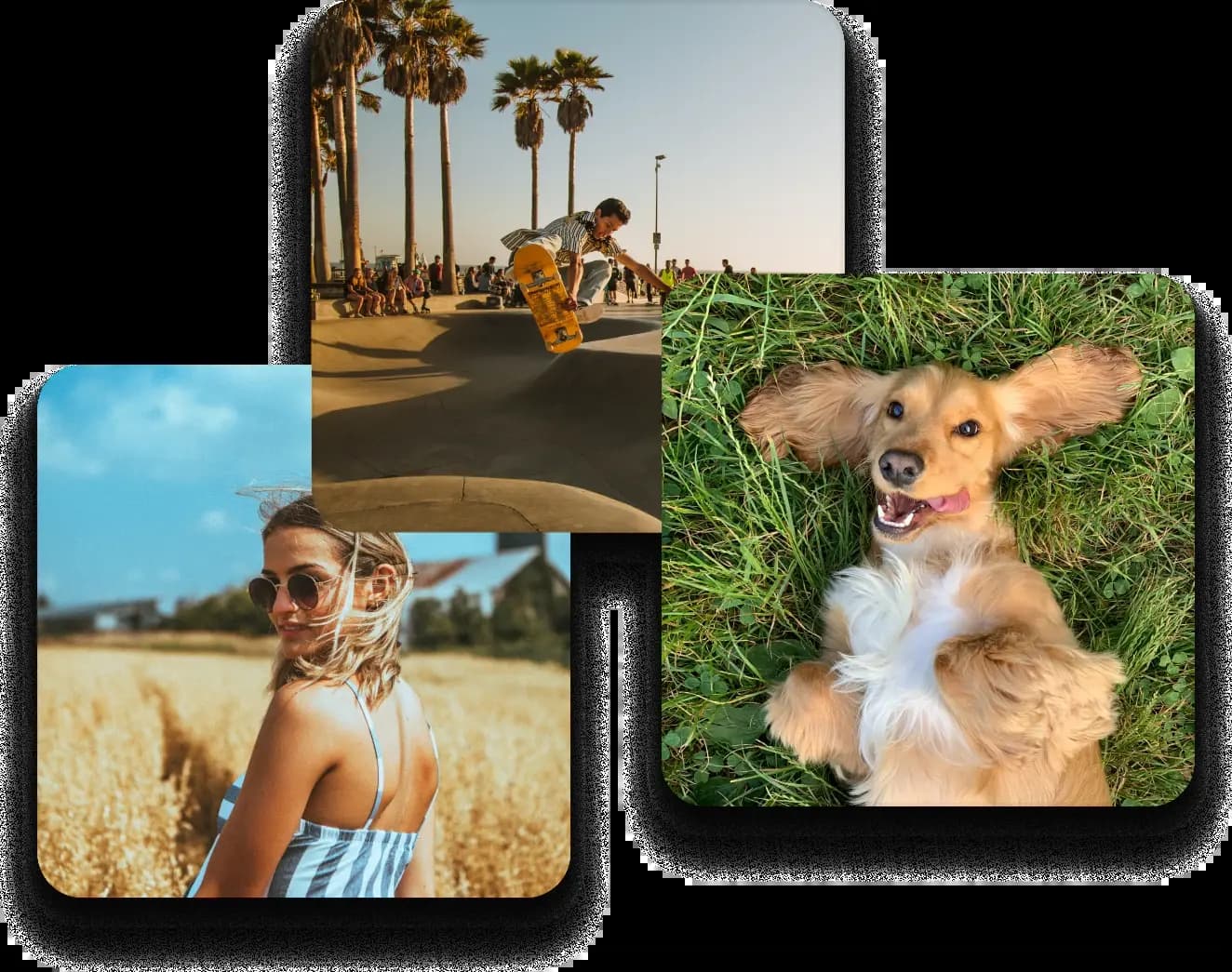 Internxt Photos Safe Photo Storage & Image Backup