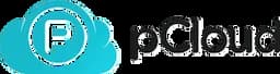 Internxt icon